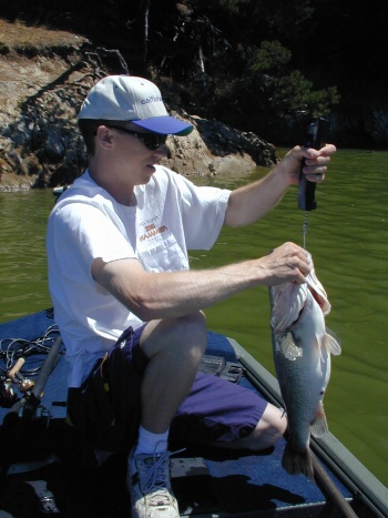 weighing a big bass