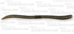 Jackall Flick Shake Inchi Wacky Worm