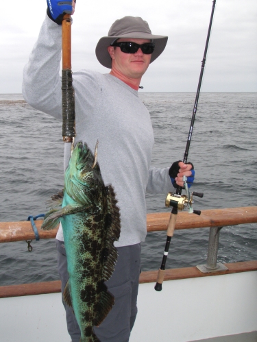 Nico with a nice Ling Cod on a Big Hammer swimbait