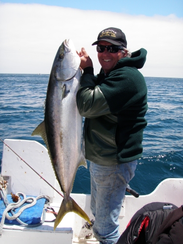 Alan Fay with a 30+ yellow on a 5 inch calico hunter colored Big Hammer Swimbait