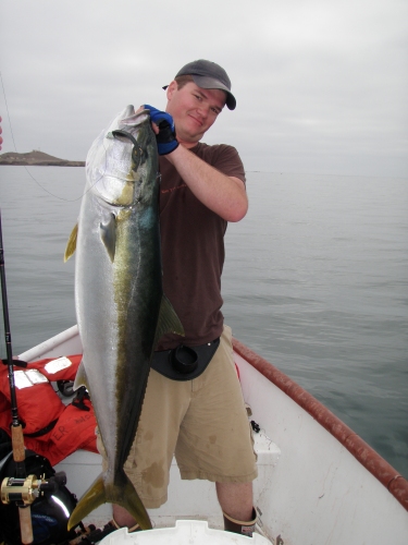 Nico Raffo - big yellowtail on the Big Hammer swimbait