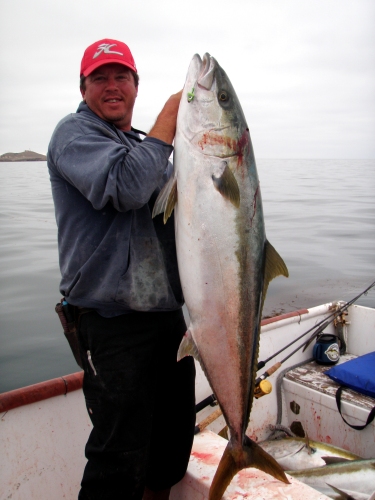 Tim with a 53lb yellowtail on a 5" Shad Pattern Big Hammer Swimbait
