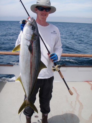 17lb grade yellow on 5" Big Hammer