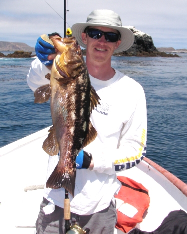 Benitos Island boiler rock calico bass