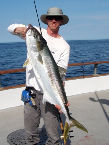 Rob with a 35lb yellowtail from the Q105