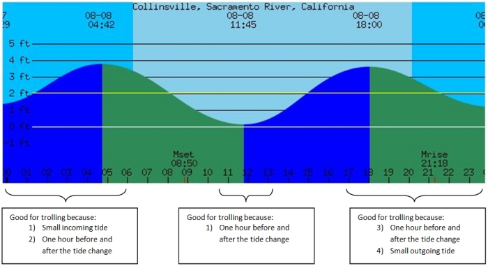 Delta Tide Example